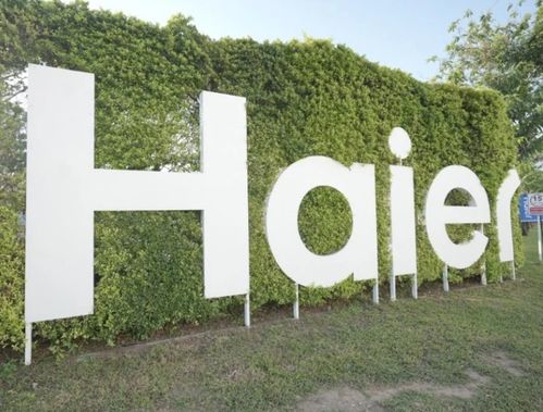 海爾在蕪湖成立新能源科技公司，布局AI與數據處理業務